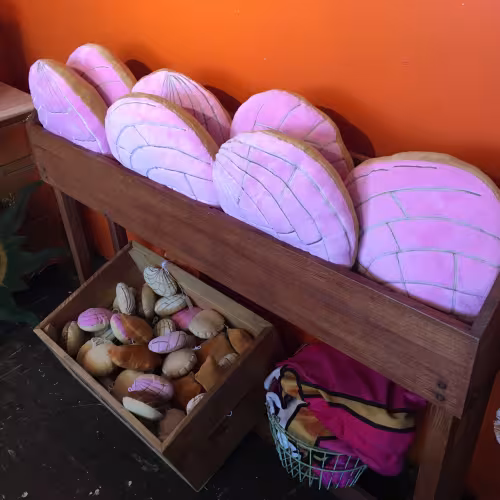Karolinas_conchas